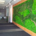 Multi-Vegetal Wall 1